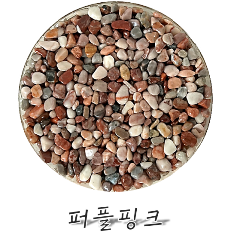 콩자 이미지