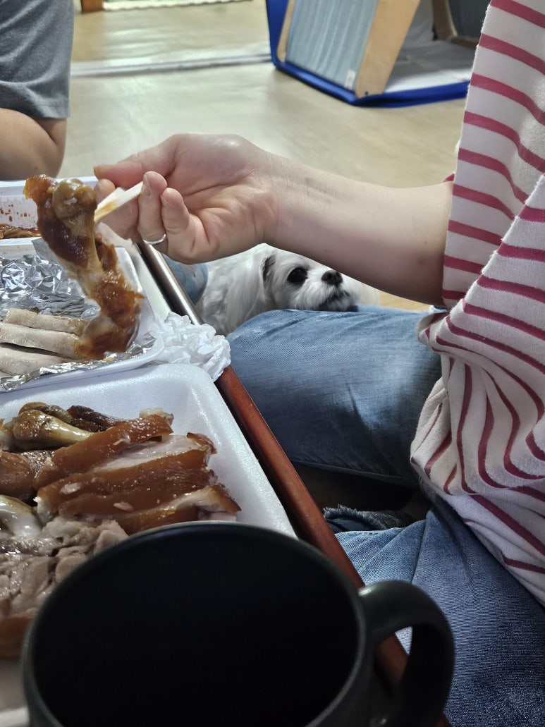 삼도왕족발보쌈 이미지