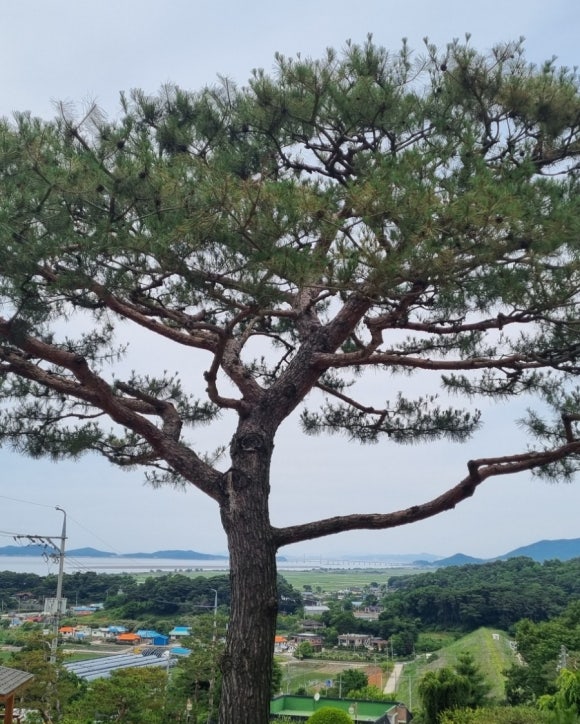 예수의 성모 여자관상수도회 이미지