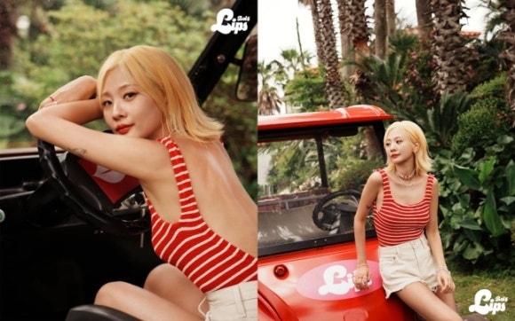 립스포토 이미지