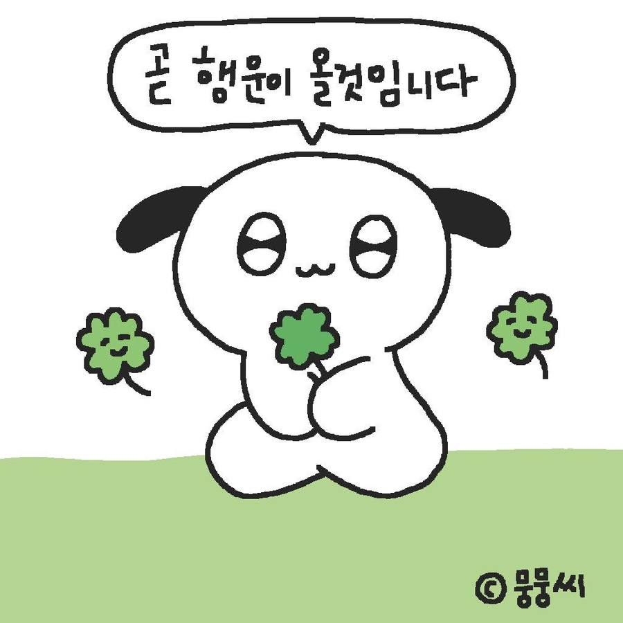 금나연 이미지