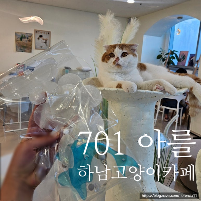 701아를고양이카페(cat in the art) 이미지