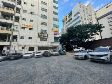 팀터틀랫김해 이미지