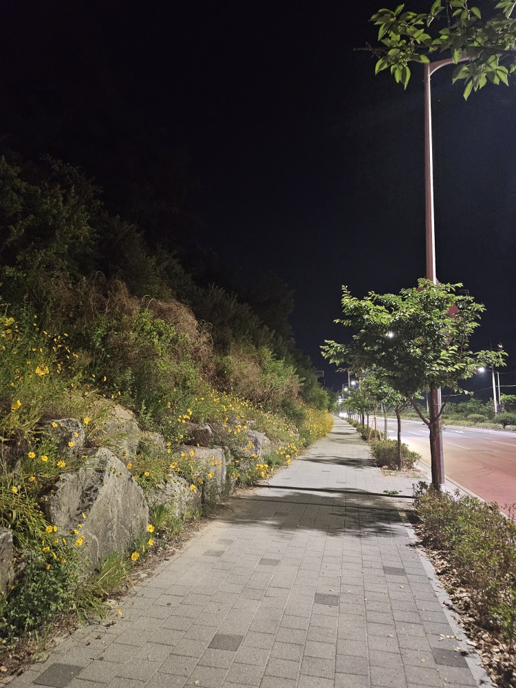 장터이모네 이미지