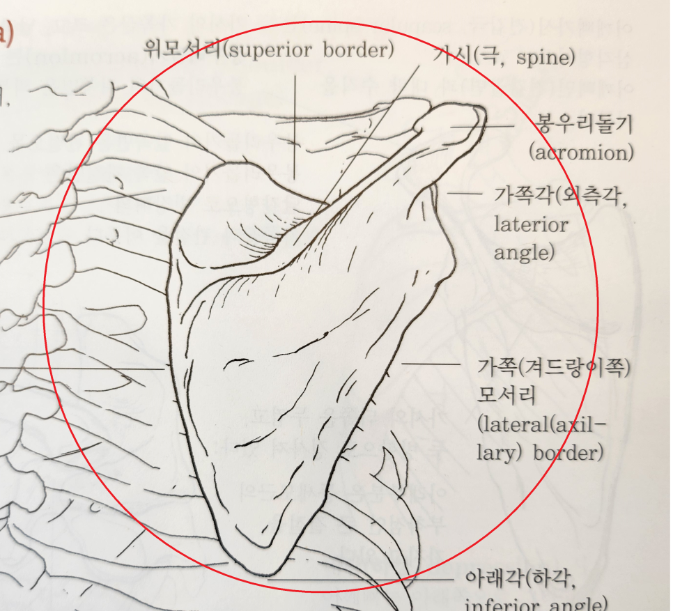 피브이짐 이미지