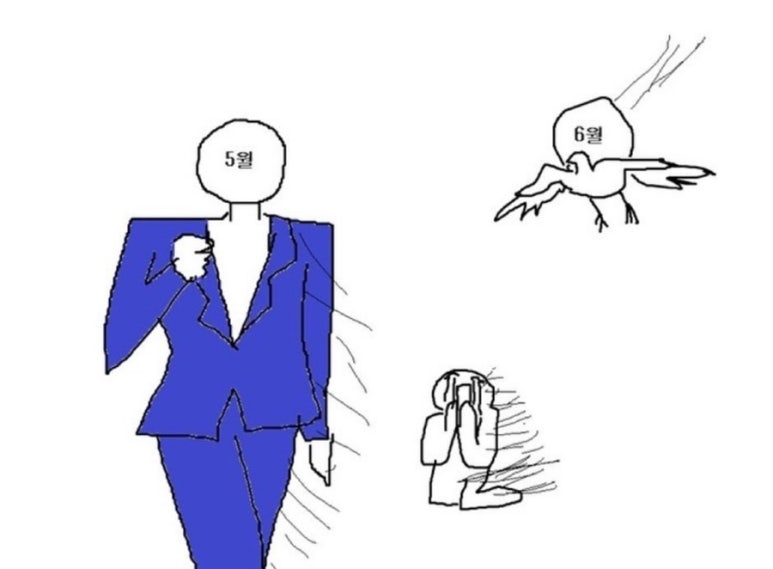 메리유 이미지