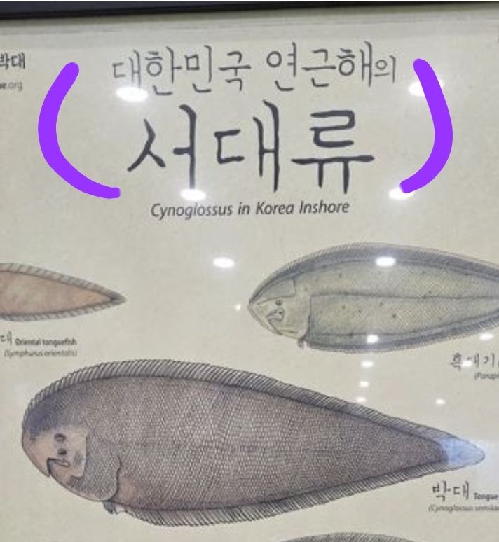 부일파크 이미지