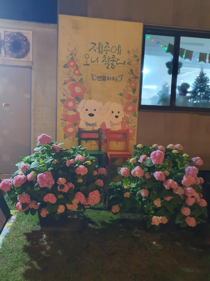 엔젤하우스 이미지