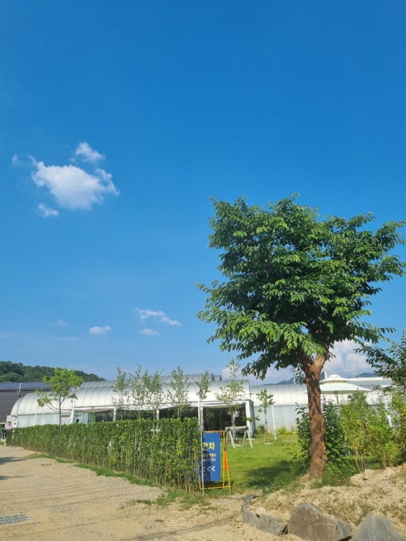 모모다인오픈하우스 이미지
