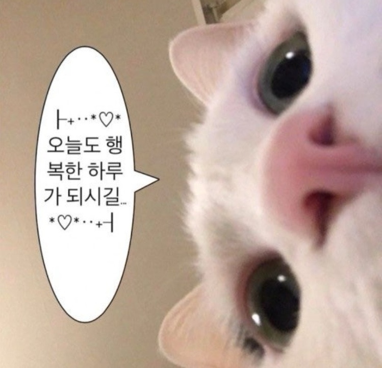 스테이풀빌라 이미지