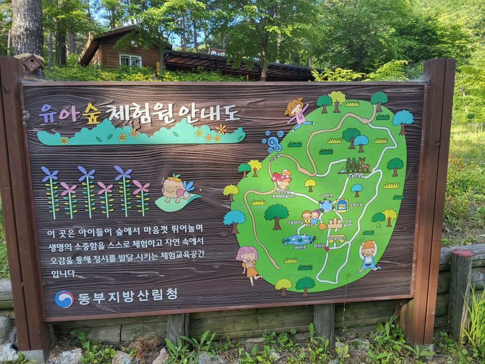 연화산 유아숲체험원 이미지