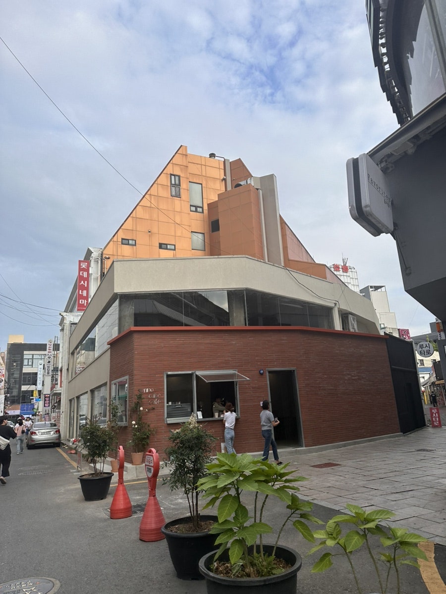 센노케이크 이미지