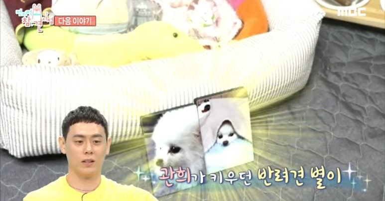 별이사는집 이미지