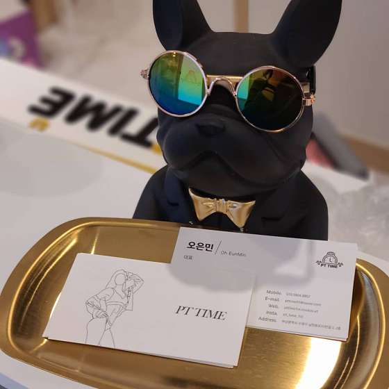 피티타임 이미지