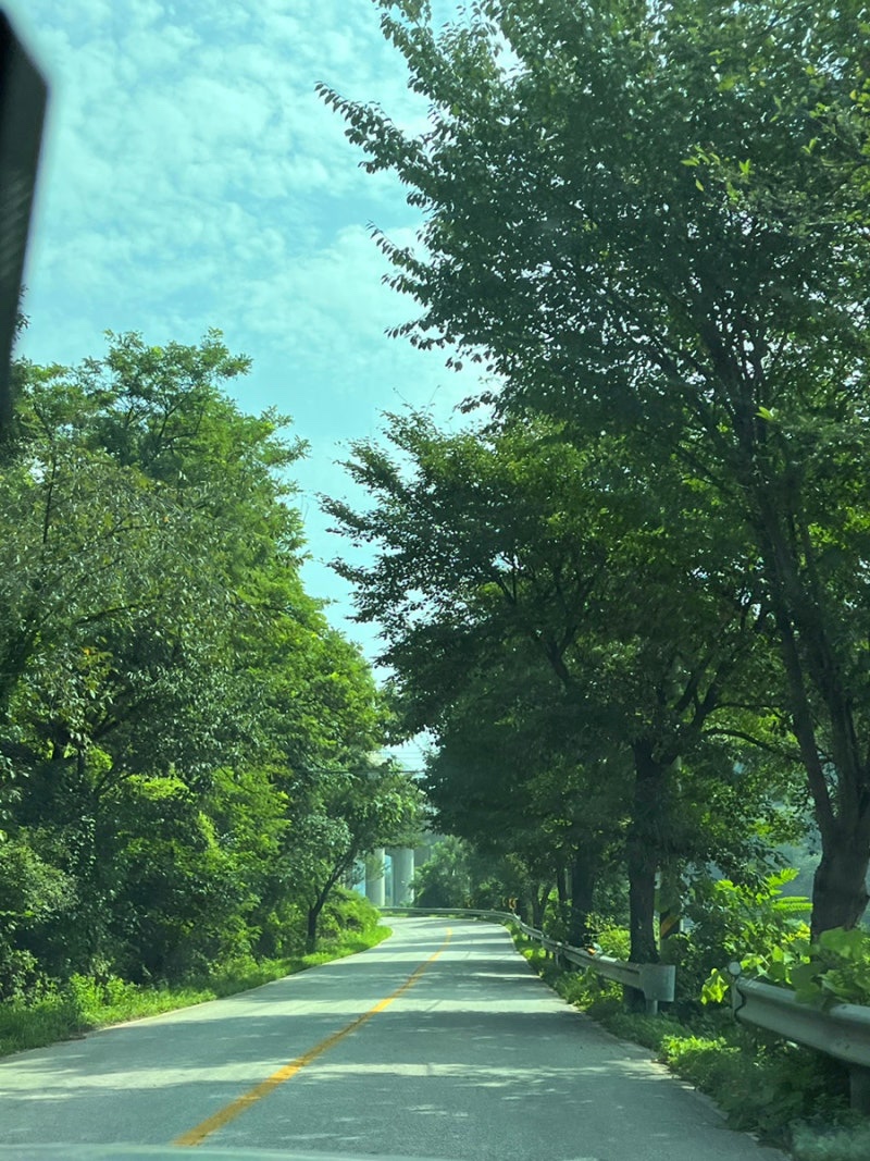 노문캠핑장 이미지