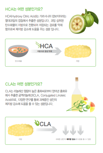 슬림팩 이미지