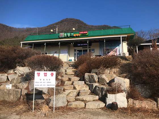 초향기 이미지