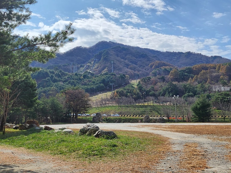 새빛행정사사무소 이미지
