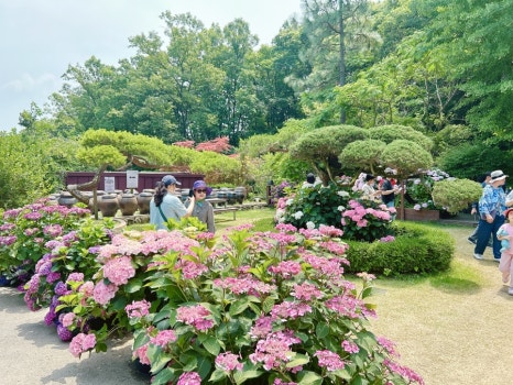 조이풀식물원 이미지