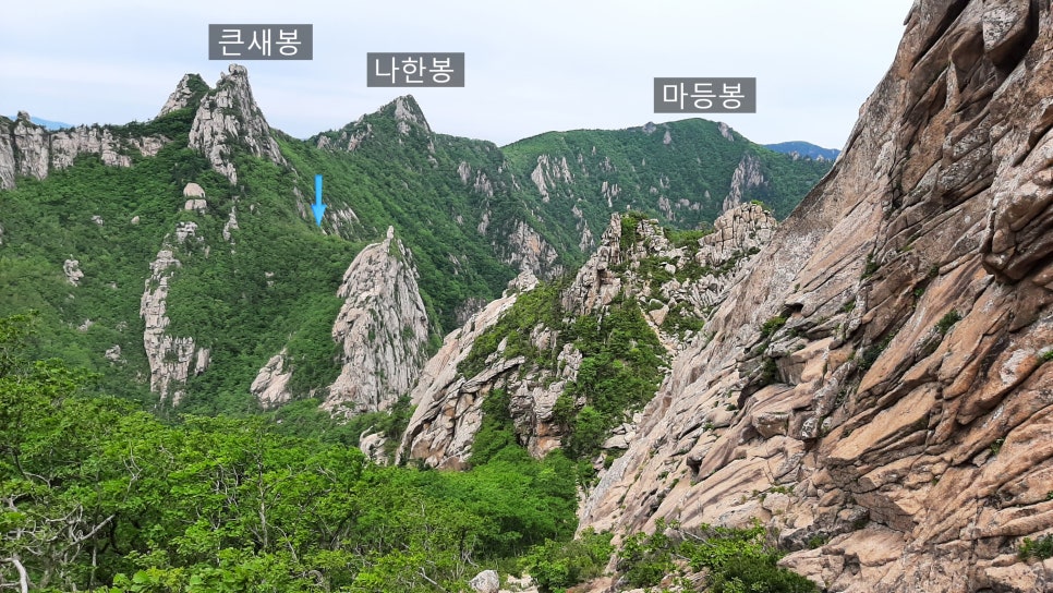 에델바이스화원 이미지