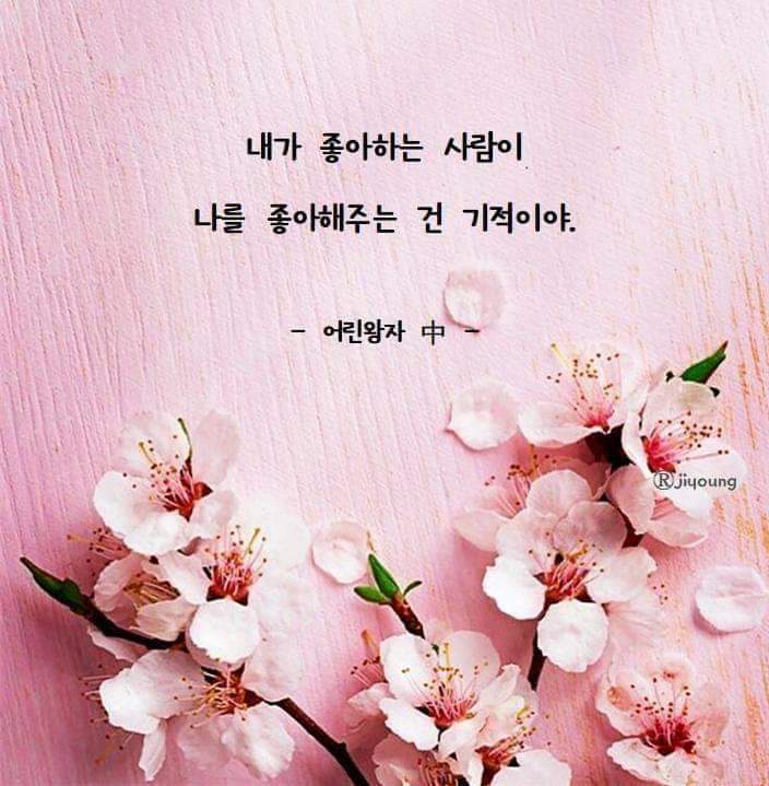 장안구민회관 이미지
