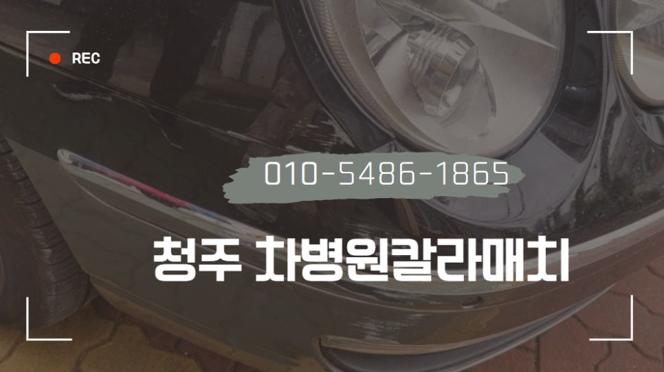 차외형복원 이미지