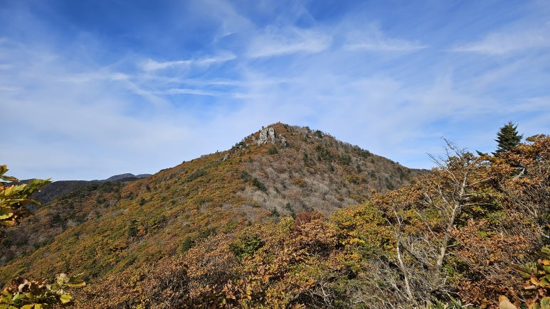 그나라 이미지