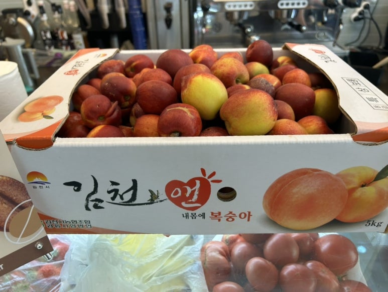 카페니어 이미지