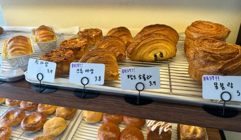 단트(DANT) 이미지