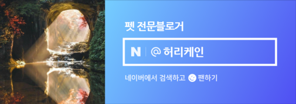 자이언트상사 이미지