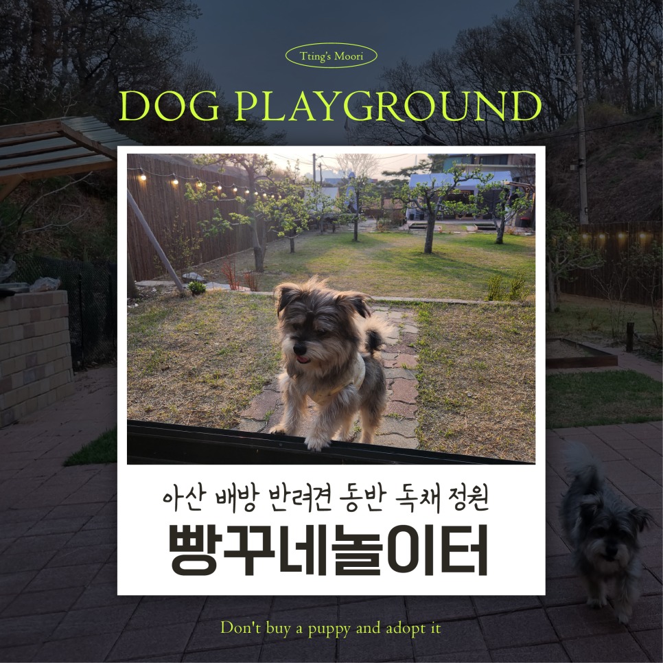 빵꾸네놀이터 이미지