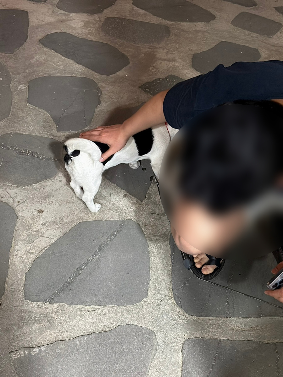 오리온매점 이미지