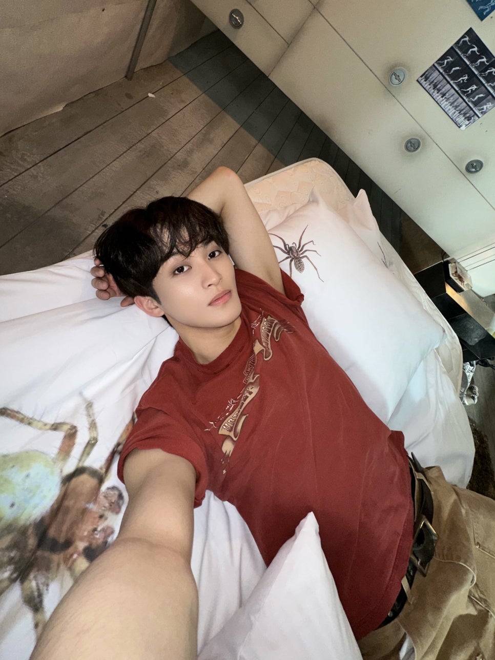 쟈니마을 이미지