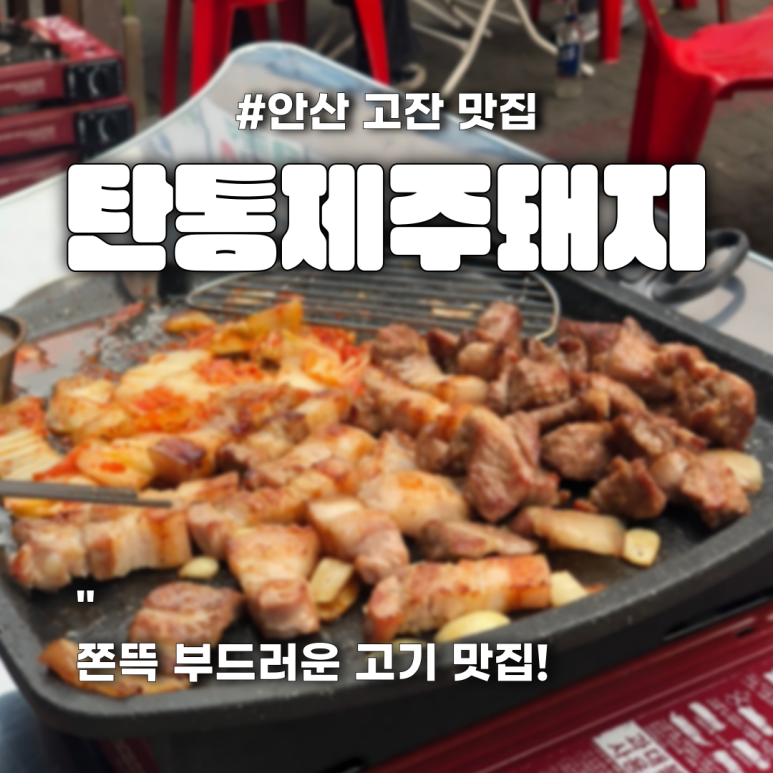 탄통제주돼지 이미지