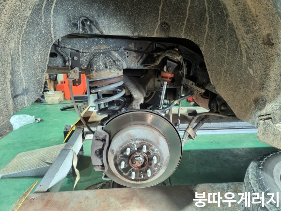 붕따우게러지 이미지