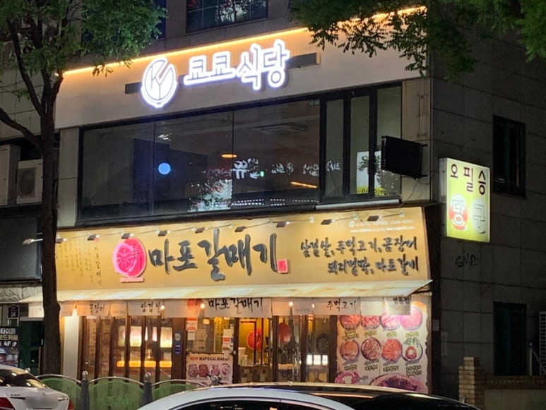 신마포갈매기 사진 5