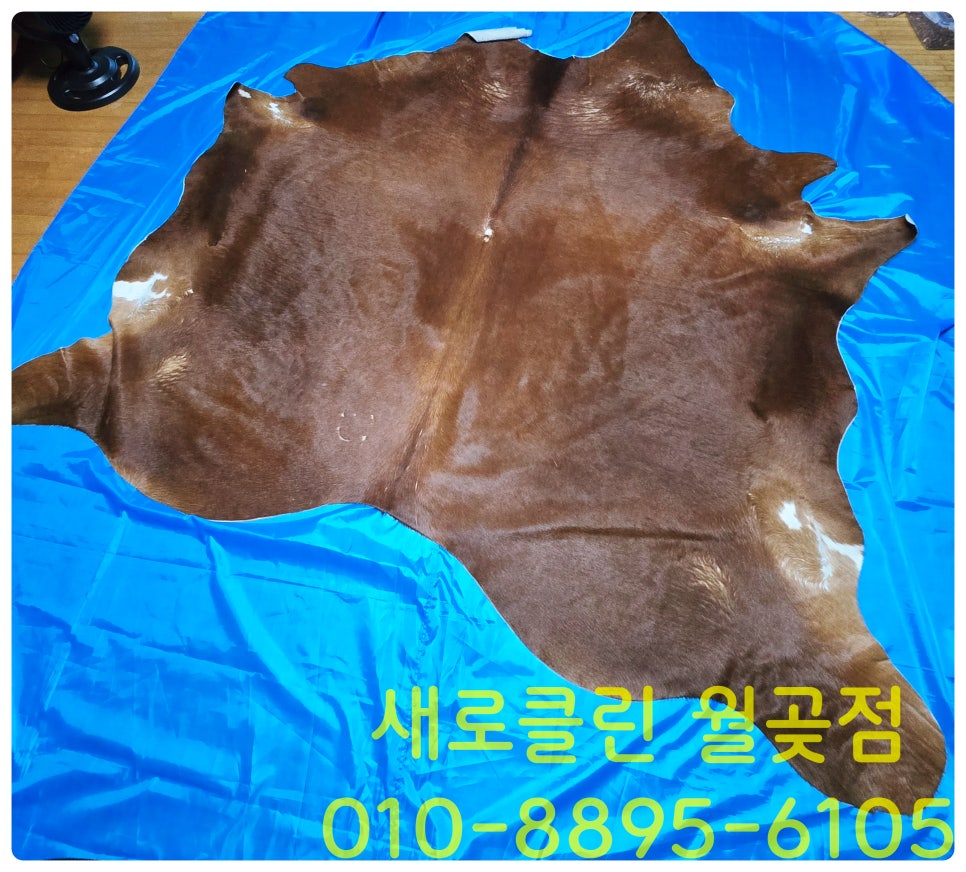 매트리스;소파;카펫;새로클린연수구 이미지