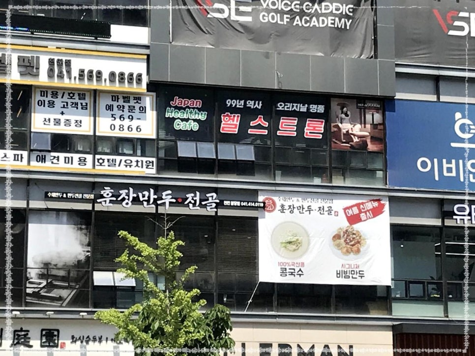 훈장만두 이미지