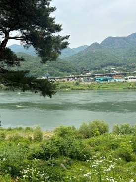 카페나루터로 이미지