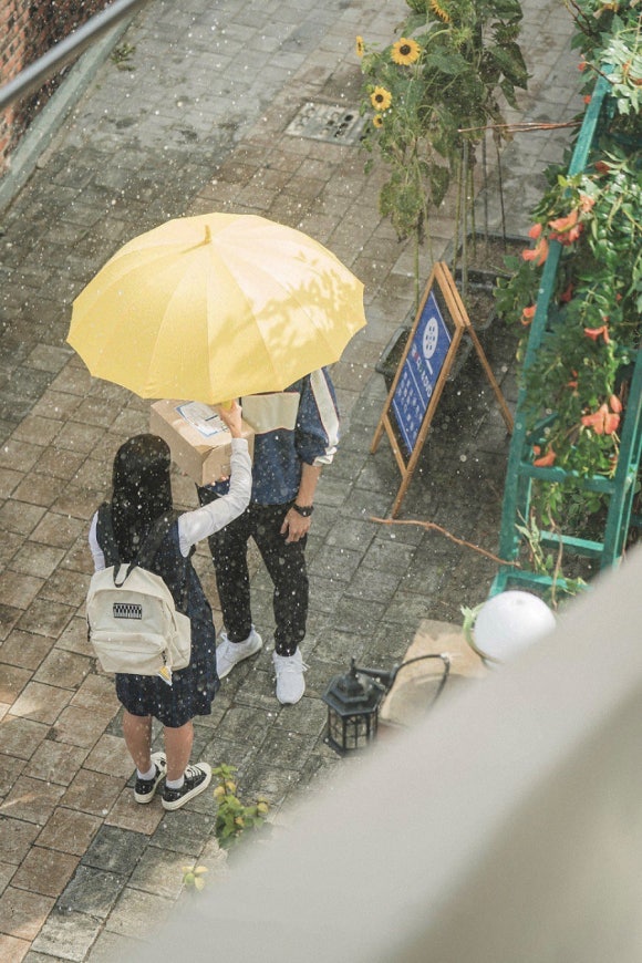 피포파 이미지