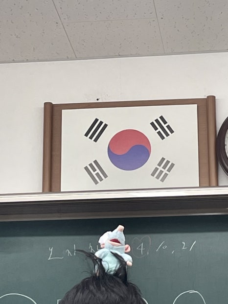 아보카도즈 이미지