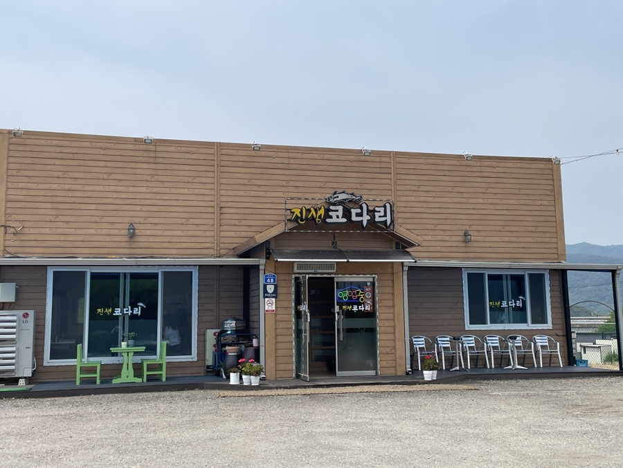 진샘코다리 이미지