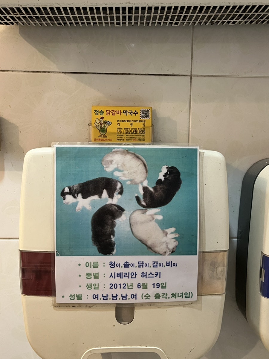 청솔닭갈비 이미지