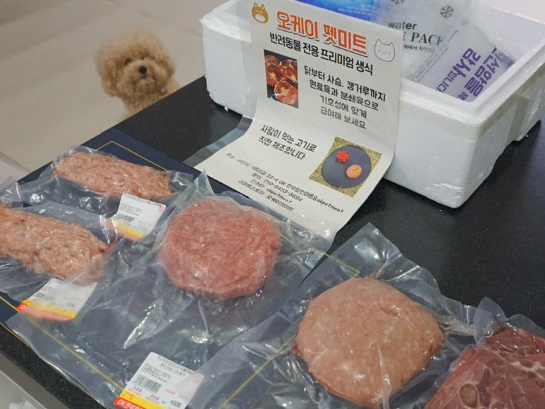 오케이펫미트 이미지