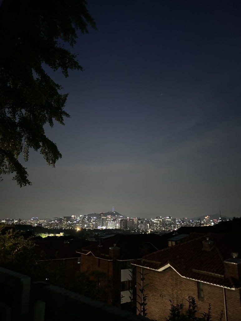 식물작업실 송하 이미지