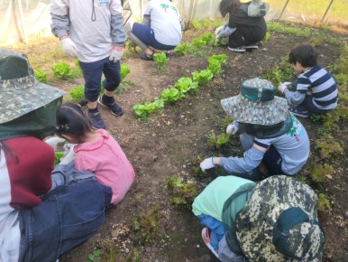 (주)풀내음 이미지