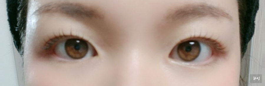 한올모아 이미지