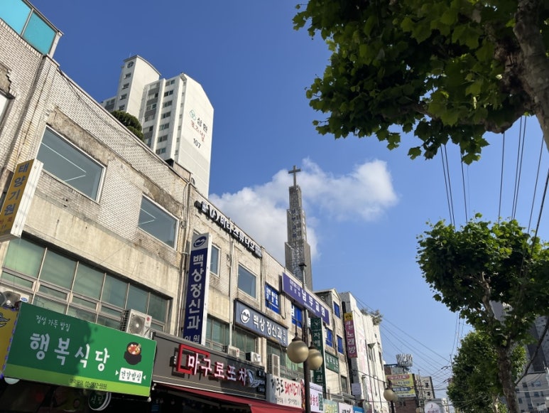 비디스튜디오 이미지