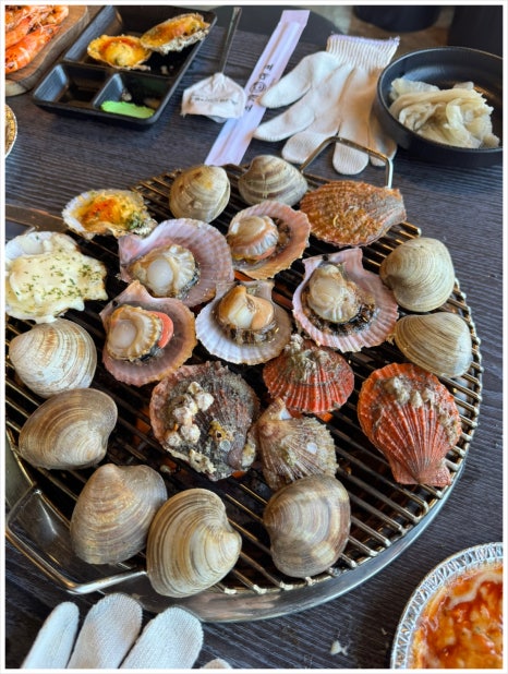 조개대표삽교 이미지