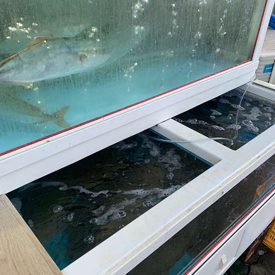 메타회포장 이미지